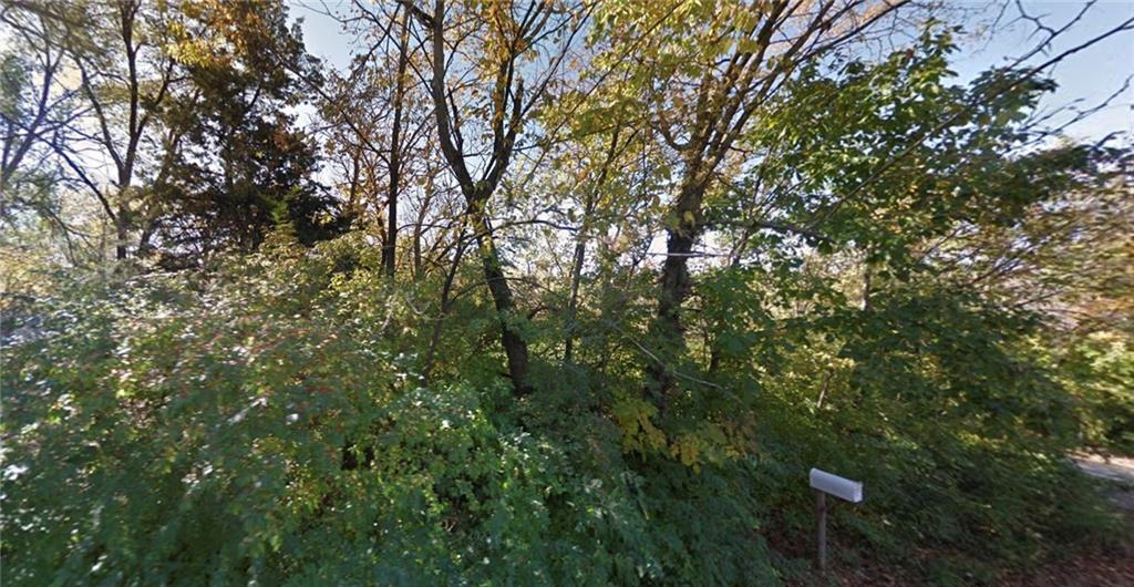 Listing Photo MLS #HMS2581479