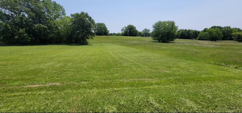 Listing Photo MLS #HMS2581653