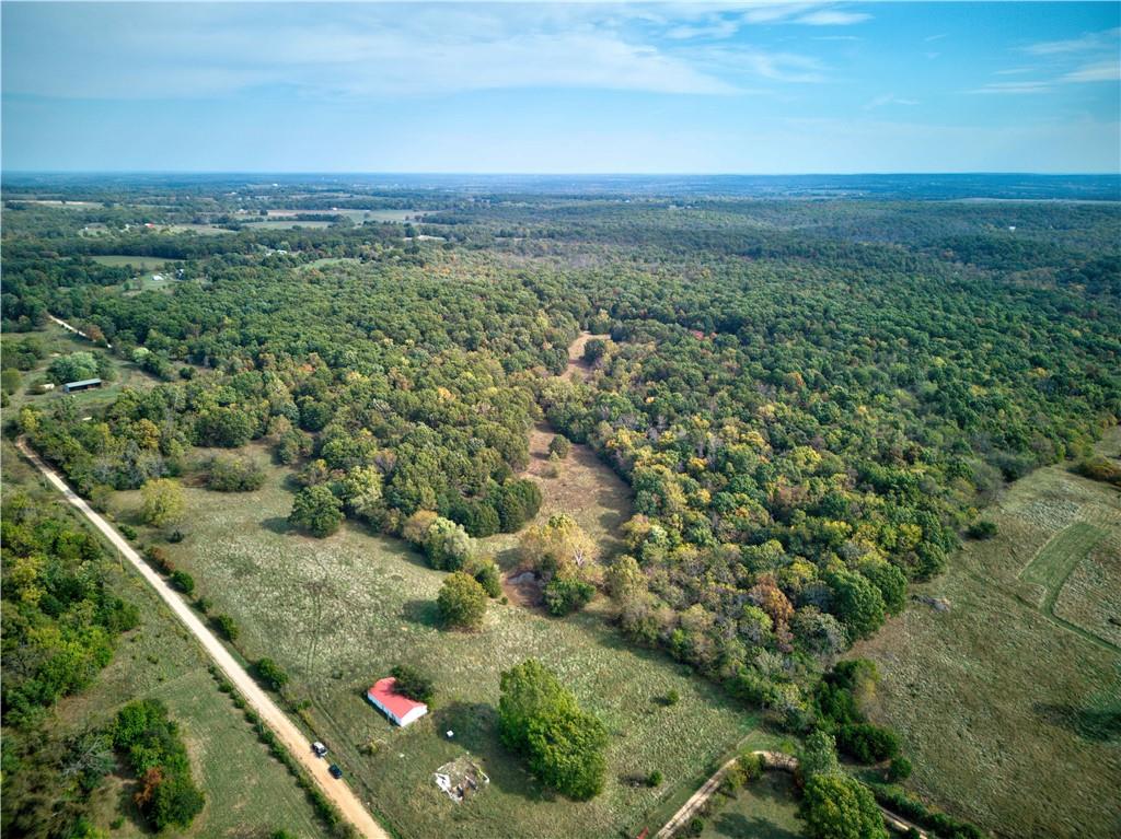 Listing Photo MLS #HMS2582316