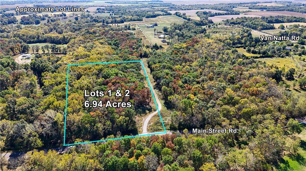 Listing Photo MLS #HMS2582534
