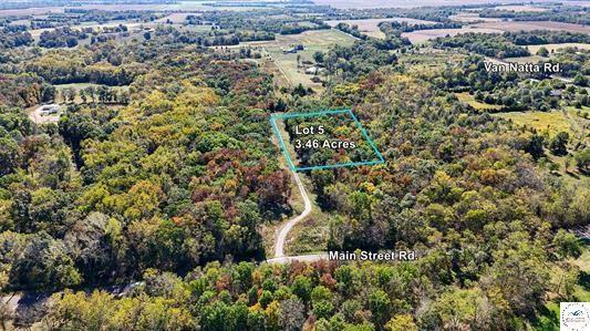 Listing Photo MLS #HMS2582571