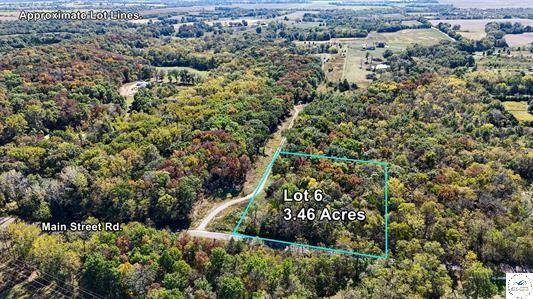 Listing Photo MLS #HMS2582573
