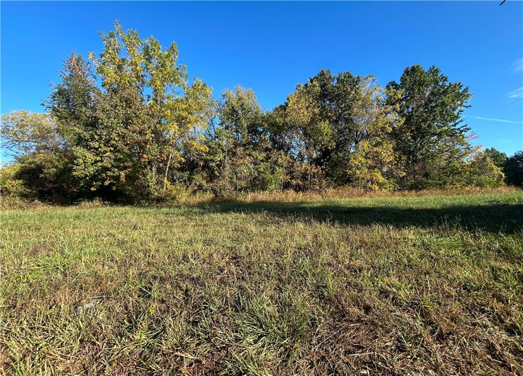 Listing Photo MLS #HMS2582580