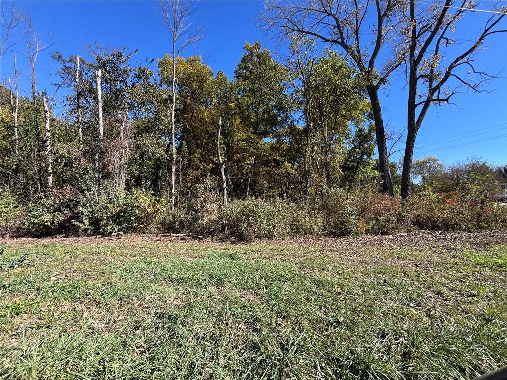 Listing Photo MLS #HMS2582728