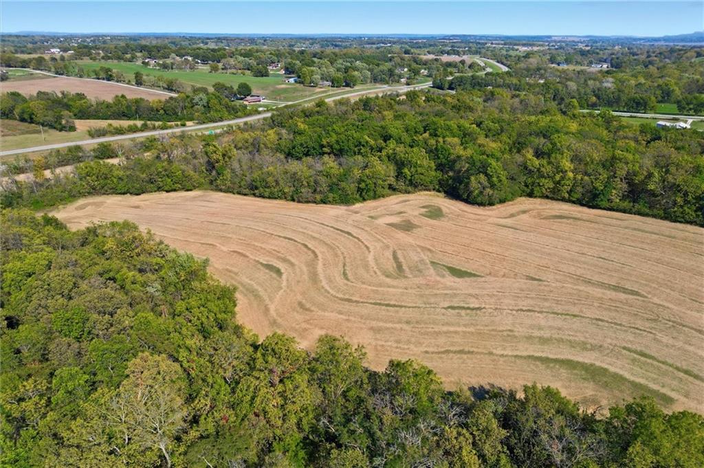 Listing Photo MLS #HMS2582749
