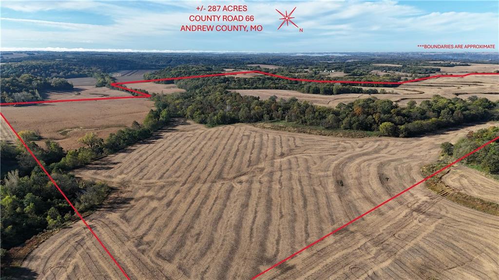Listing Photo MLS #HMS2582930