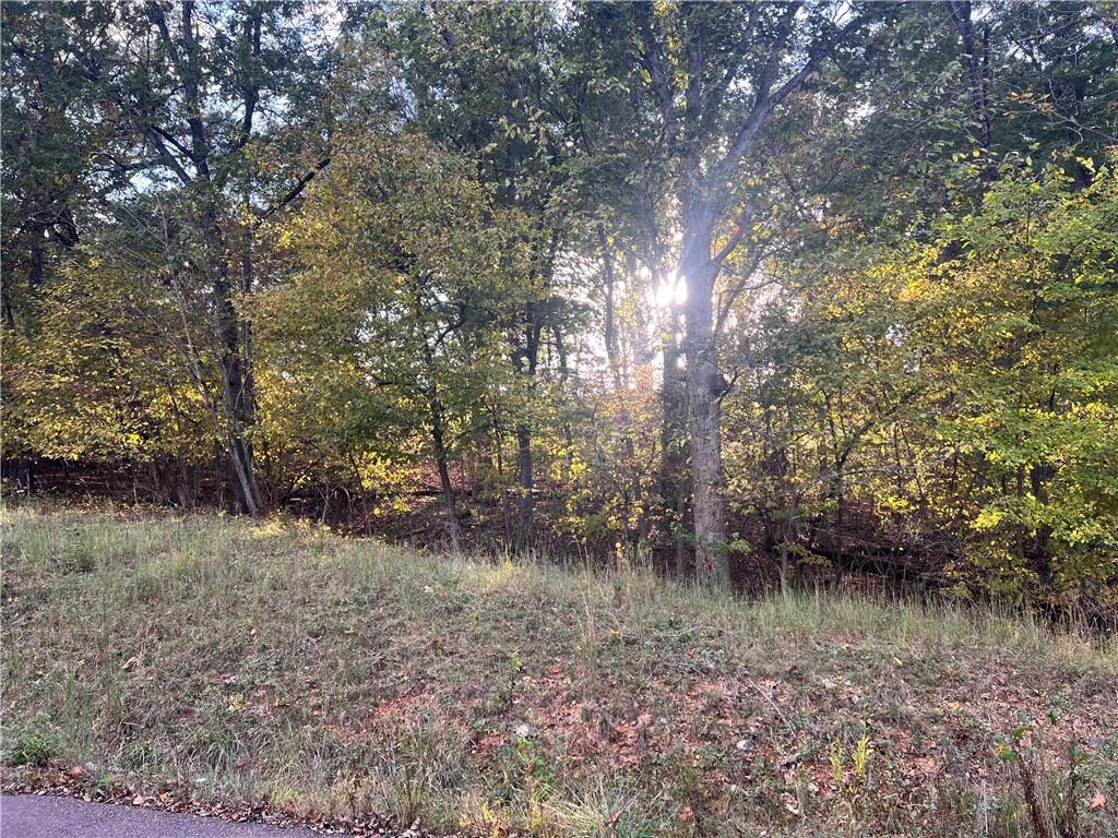 Listing Photo MLS #HMS2582935