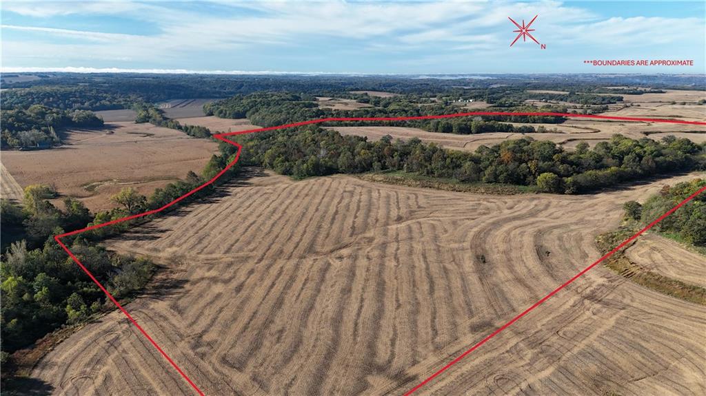 Listing Photo MLS #HMS2582942