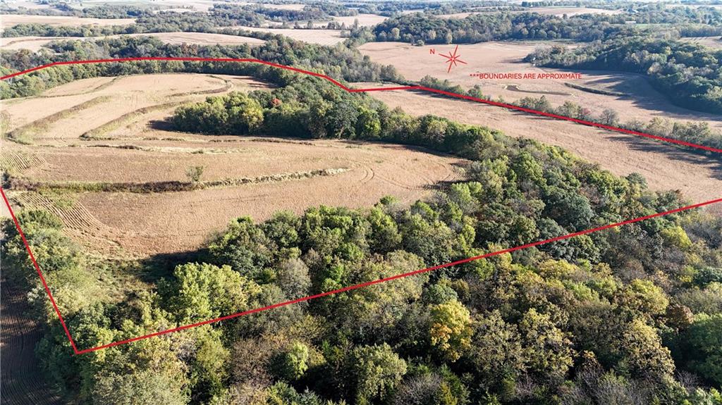 Listing Photo MLS #HMS2582943