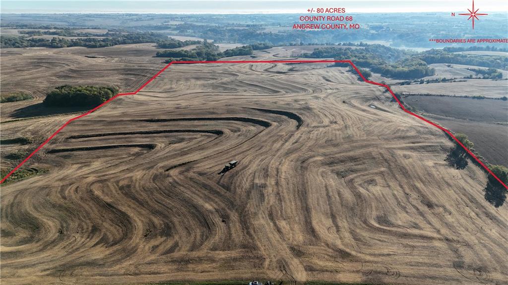 Listing Photo MLS #HMS2582944