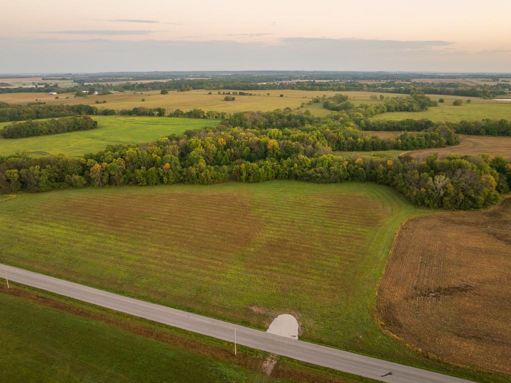 Listing Photo MLS #HMS2582950