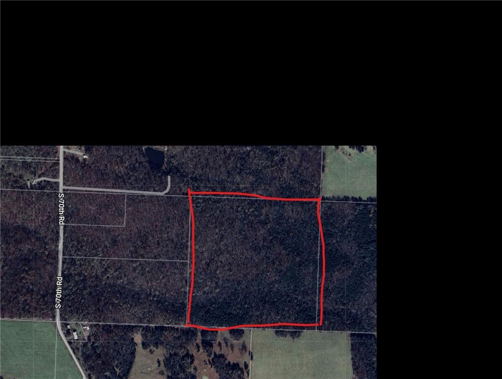 Listing Photo MLS #HMS2582952