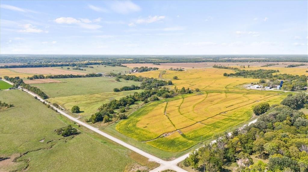 Listing Photo MLS #HMS2583087