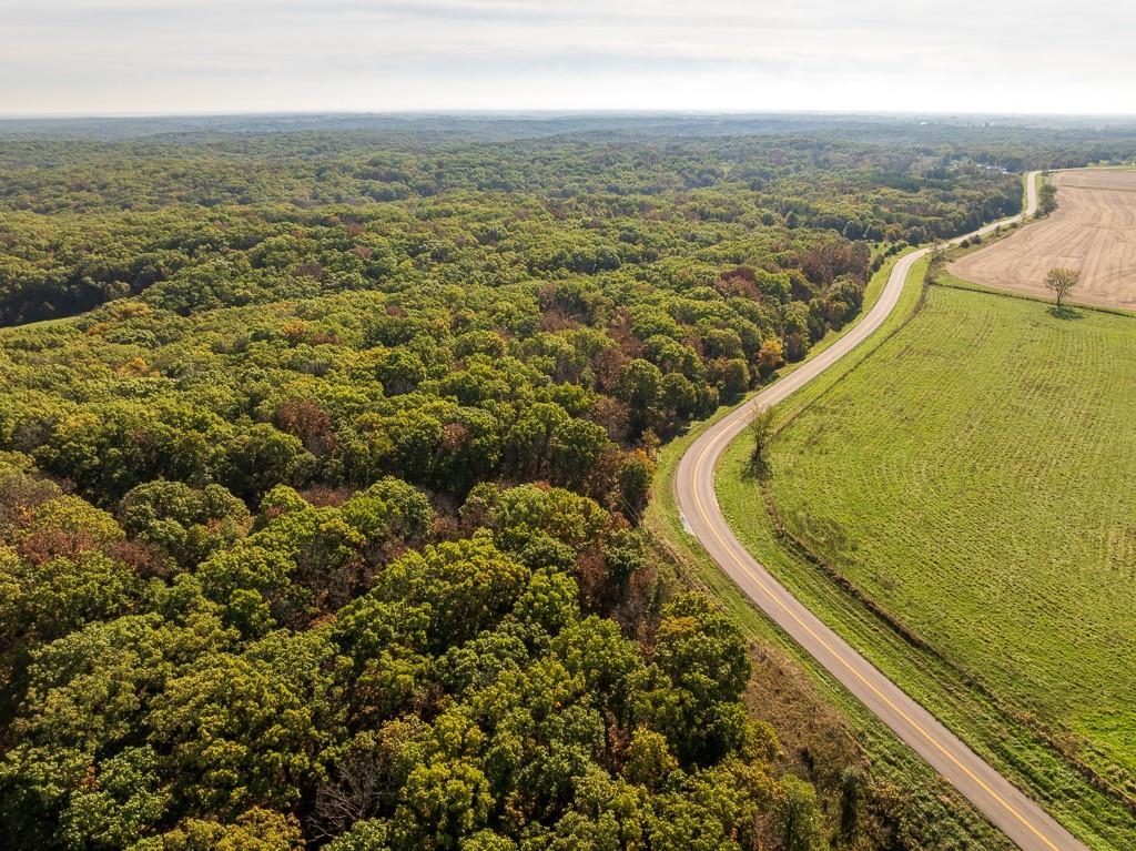 Listing Photo MLS #HMS2583674