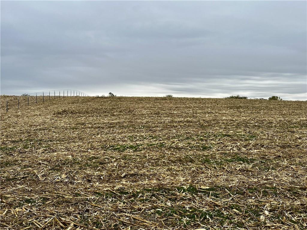 Listing Photo MLS #HMS2583829