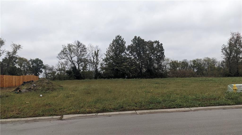 Listing Photo MLS #HMS2583948