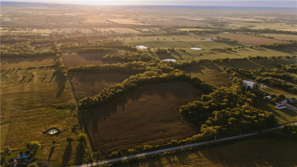 Listing Photo MLS #HMS2584062