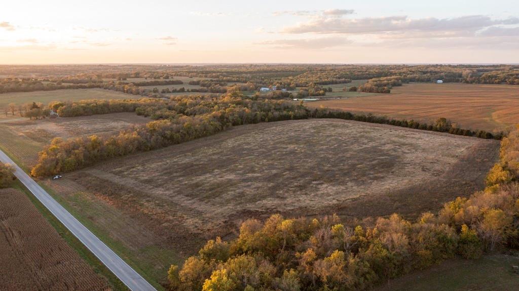 Listing Photo MLS #HMS2584907