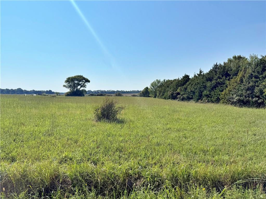 Listing Photo MLS #HMS2584971