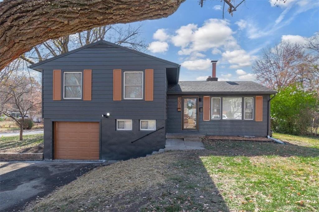 Listing Photo MLS #HMS2585028