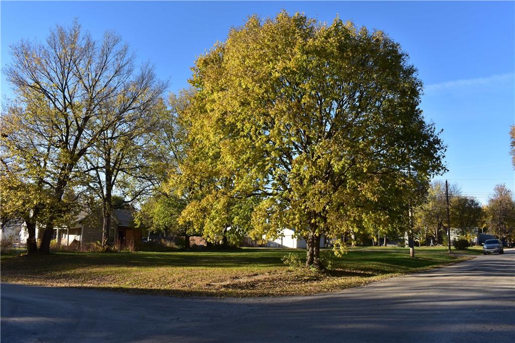 Listing Photo MLS #HMS2585060