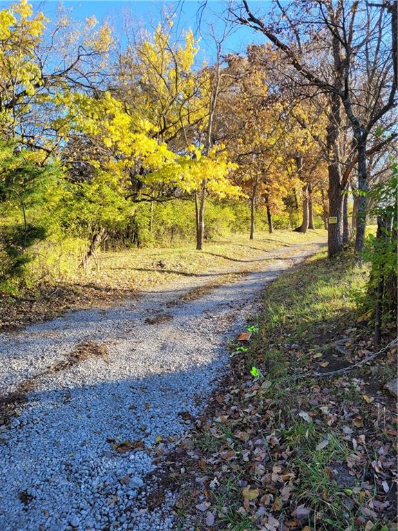 Listing Photo MLS #HMS2586808