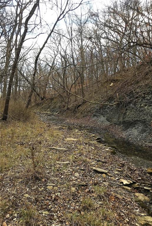 Listing Photo MLS #HMS2586850