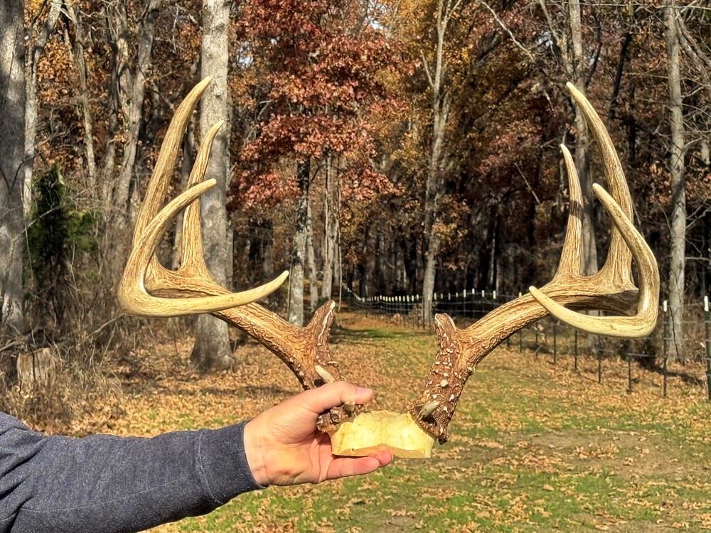 Listing Photo MLS #HMS2587834