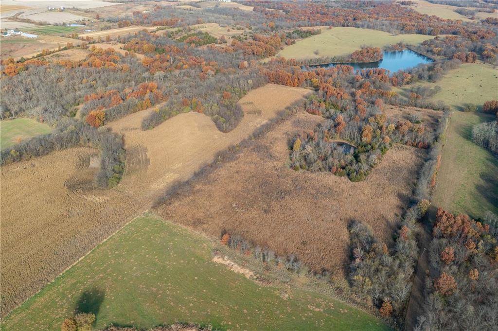 Listing Photo MLS #HMS2588415