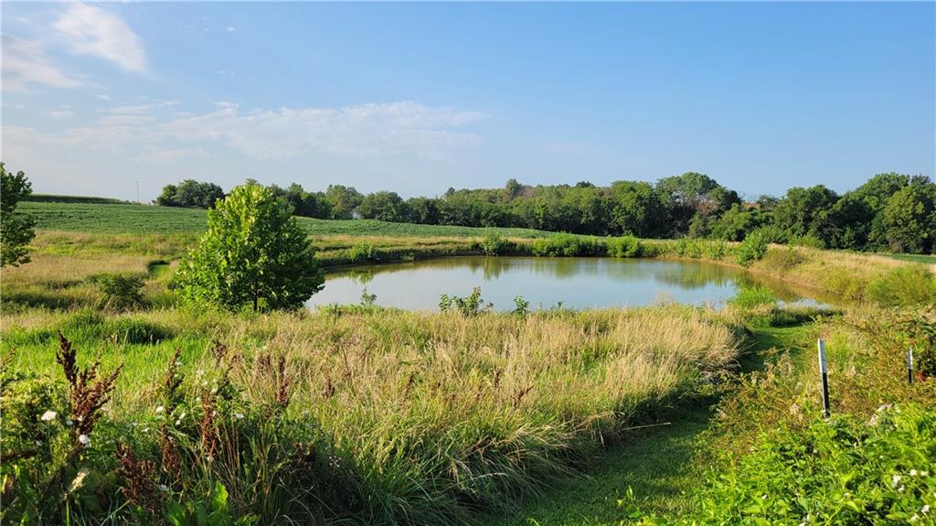 Listing Photo MLS #HMS2588518