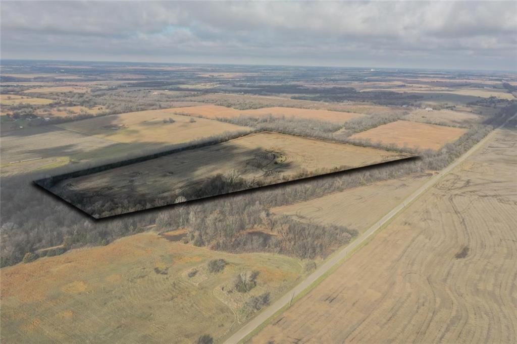 Listing Photo MLS #HMS2589235