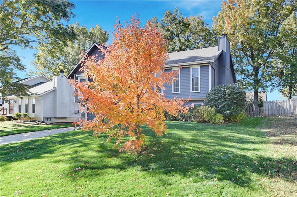 Listing Photo MLS #HMS2589567