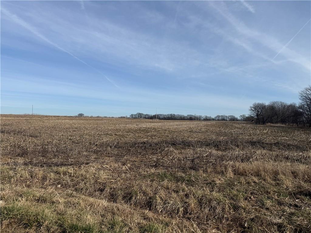 Listing Photo MLS #HMS2594480