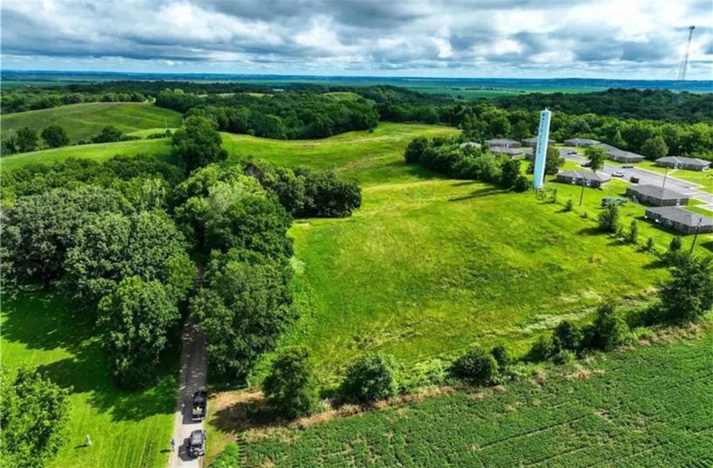 Listing Photo MLS #HMS2595403