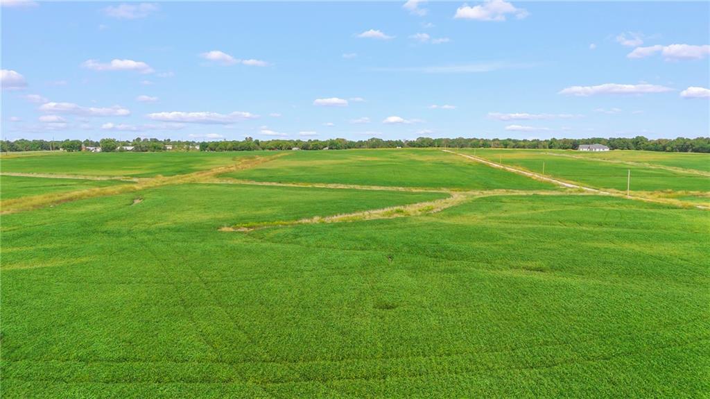 Listing Photo MLS #HMS2595798