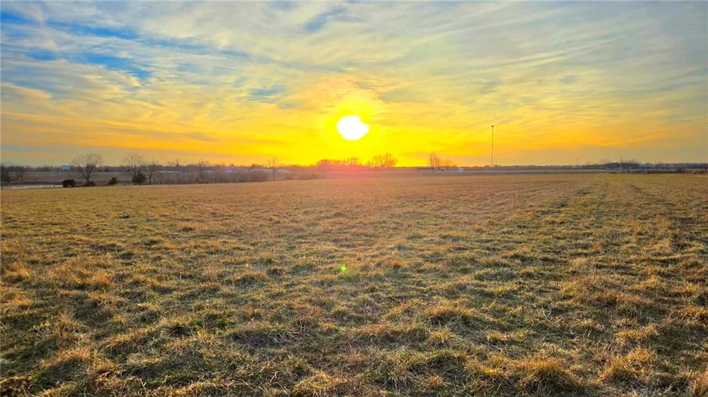 Listing Photo MLS #HMS2597670