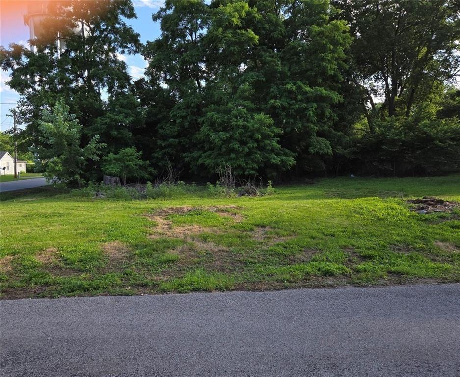 Listing Photo MLS #HMS2598325