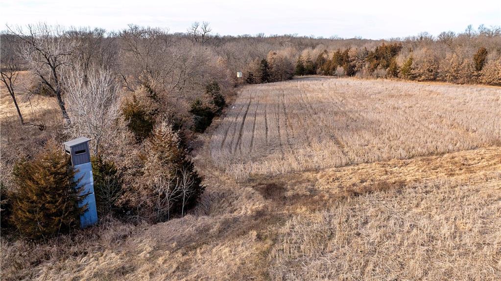 Listing Photo MLS #HMS2599198