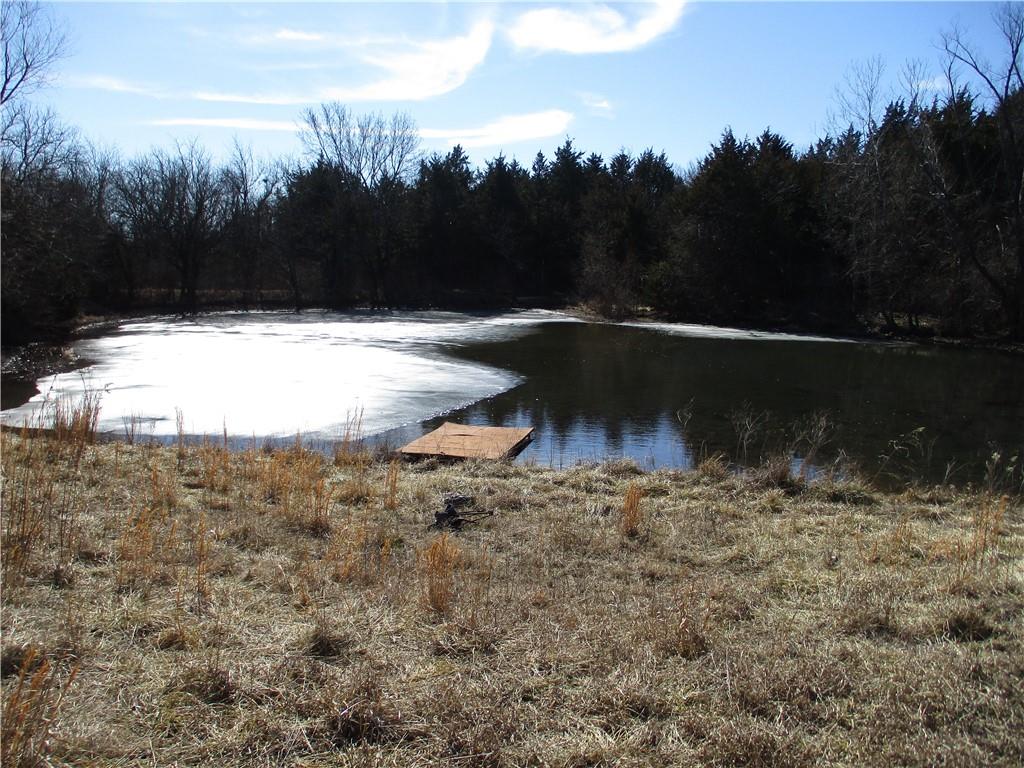 Listing Photo MLS #HMS2601351