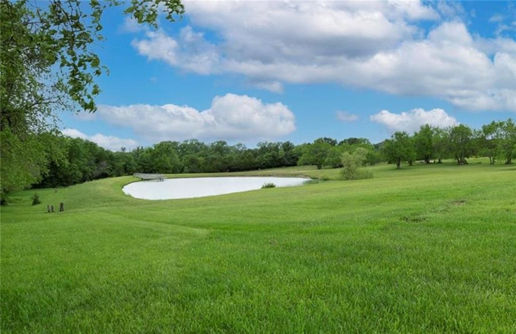 Listing Photo MLS #HMS2602977