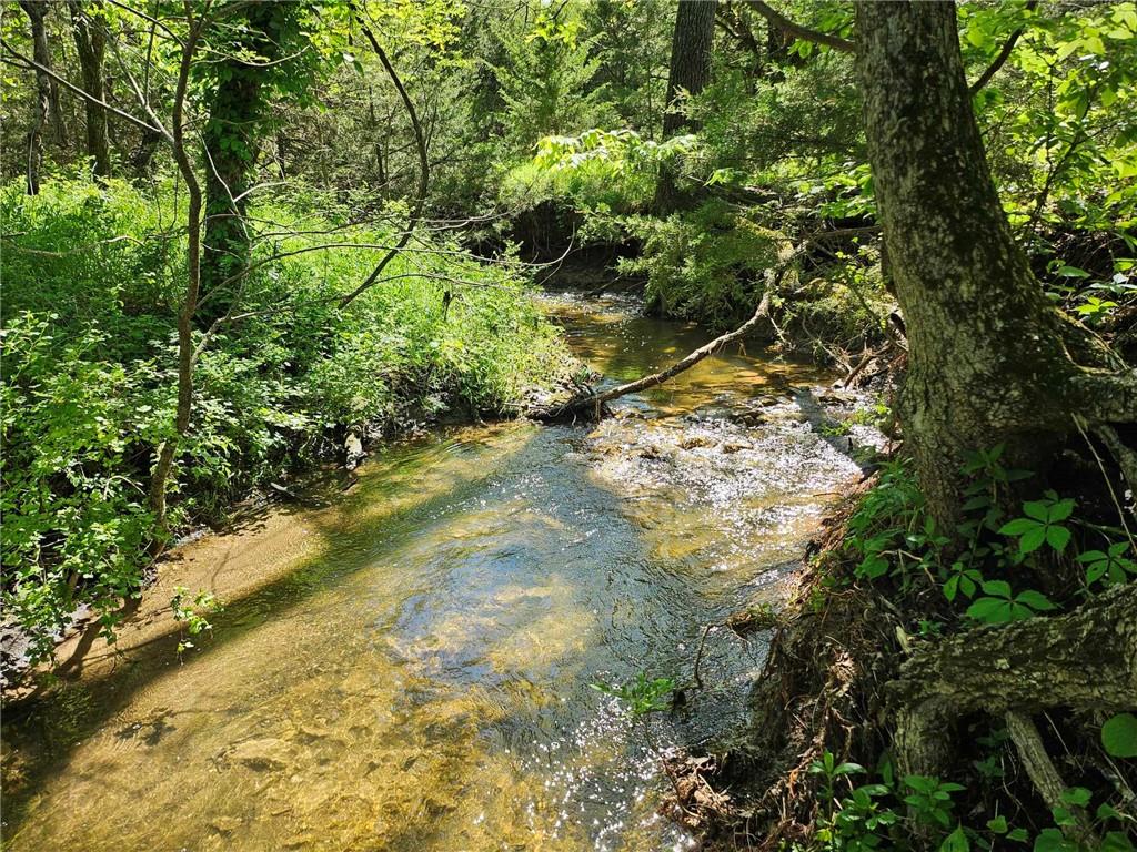 Listing Photo MLS #HMS2604313