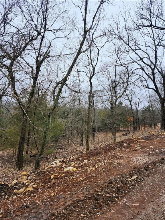 Listing Photo MLS #HMS2604688