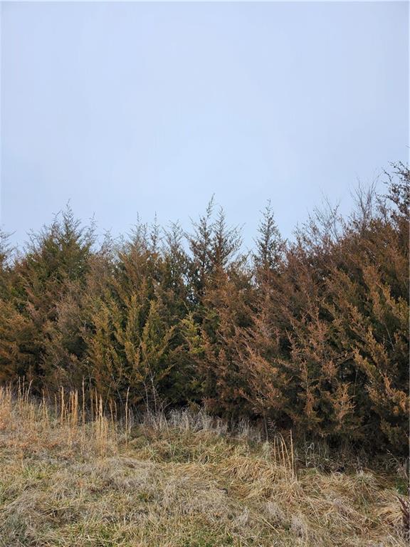 Listing Photo MLS #HMS2604736