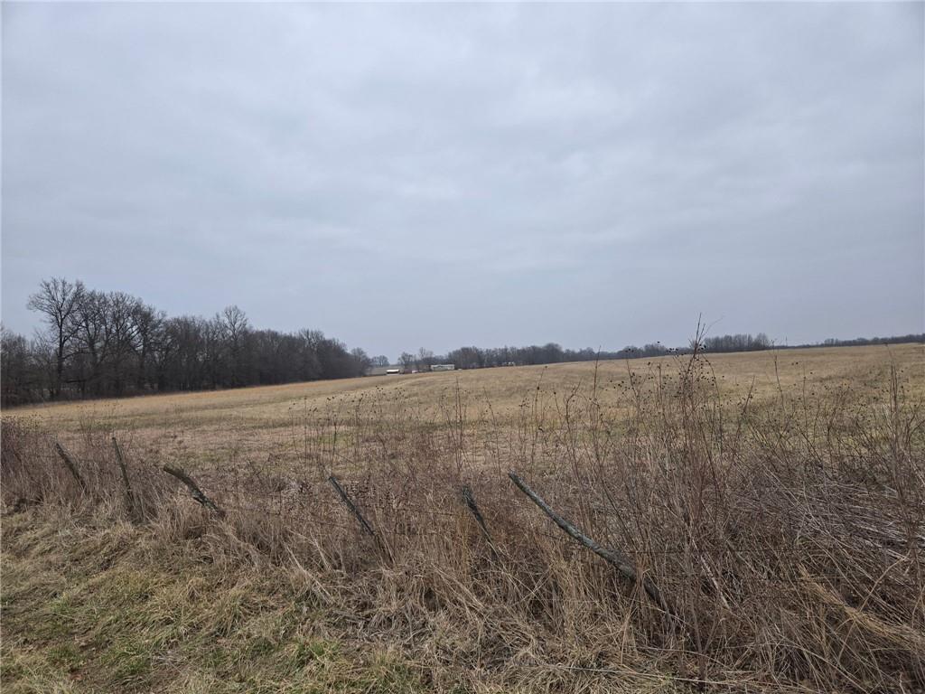 Listing Photo MLS #HMS2604984