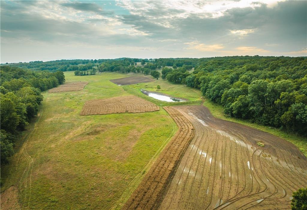 Listing Photo MLS #HMS2605192