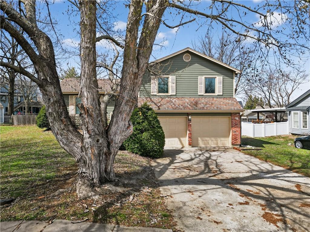 Listing Photo MLS #HMS2606954