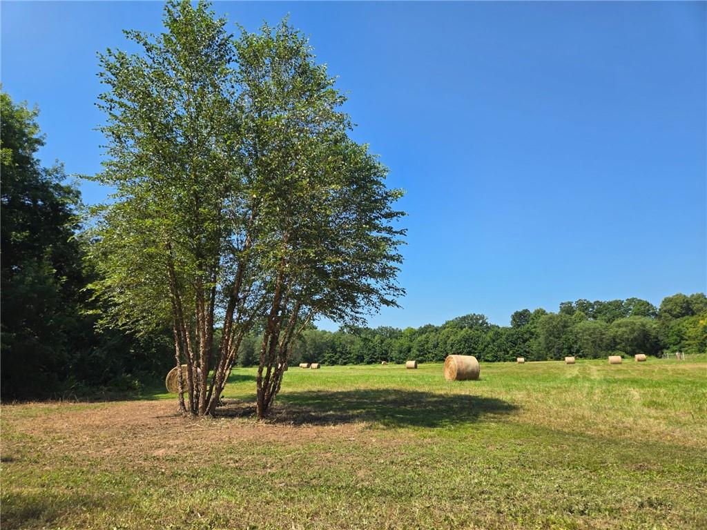Listing Photo MLS #HMS2607015