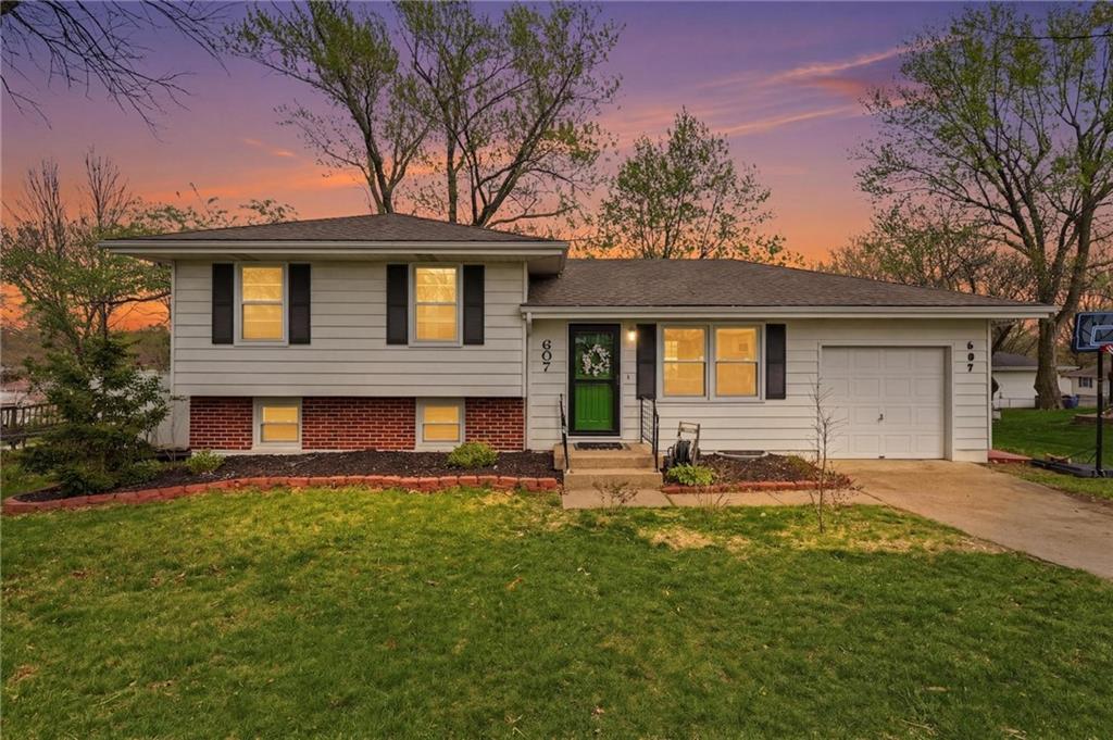 Listing Photo MLS #HMS2608031