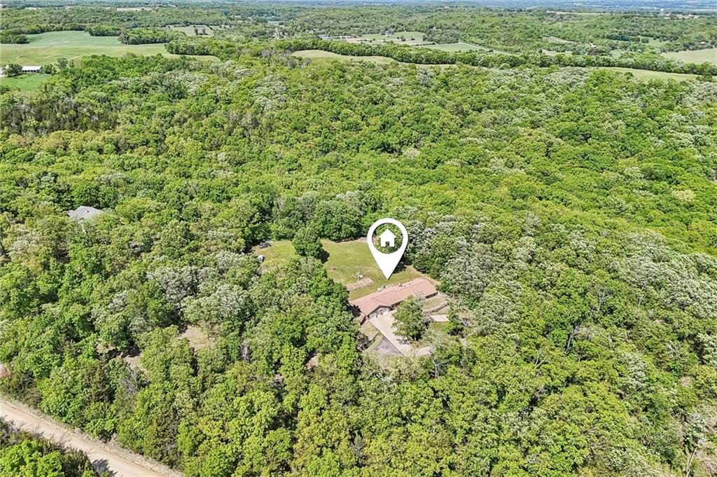Listing Photo MLS #HMS2608953