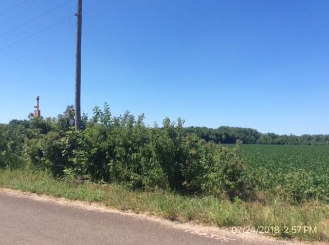 Listing Photo MLS #HMS2609130